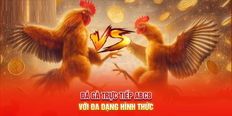 Hình thức đá gà trực tiếp tại ABC8 cực kỳ đa dạng