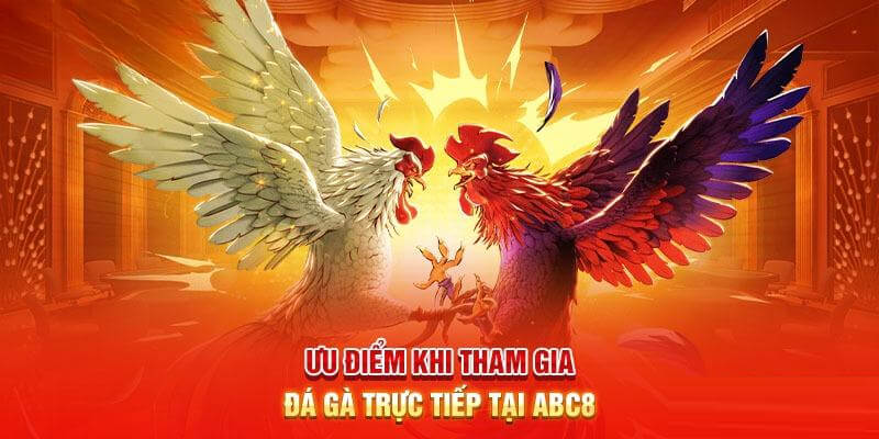 5 ưu điểm lớn khi chọn đá gà trực tiếp ABC8